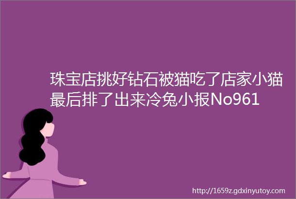 珠宝店挑好钻石被猫吃了店家小猫最后排了出来冷兔小报No961