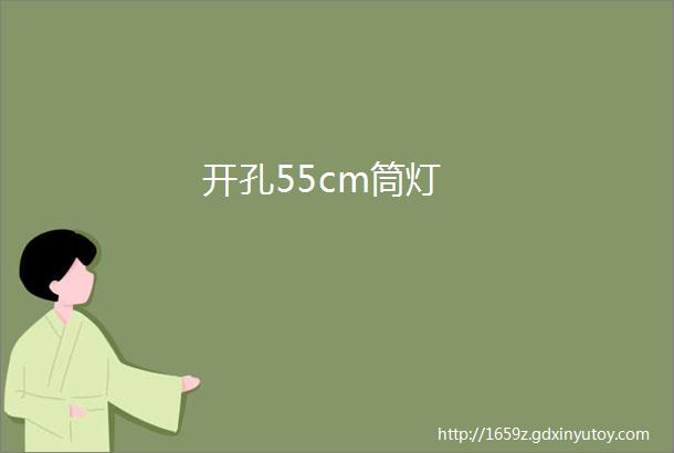 开孔55cm筒灯