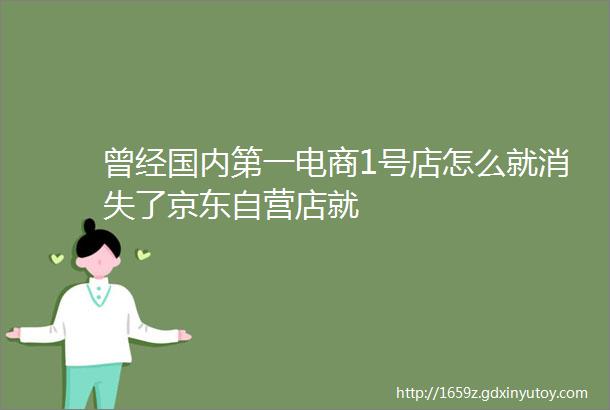 曾经国内第一电商1号店怎么就消失了京东自营店就