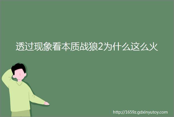 透过现象看本质战狼2为什么这么火